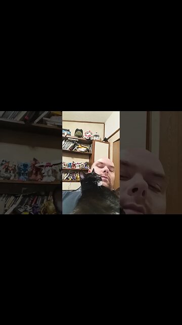 loving on kitty #shortsfeed #kitty #cat #shortsvideo #youtubeshorts #kittycat #cutekitty #catshorts