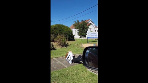 Funny Video #9