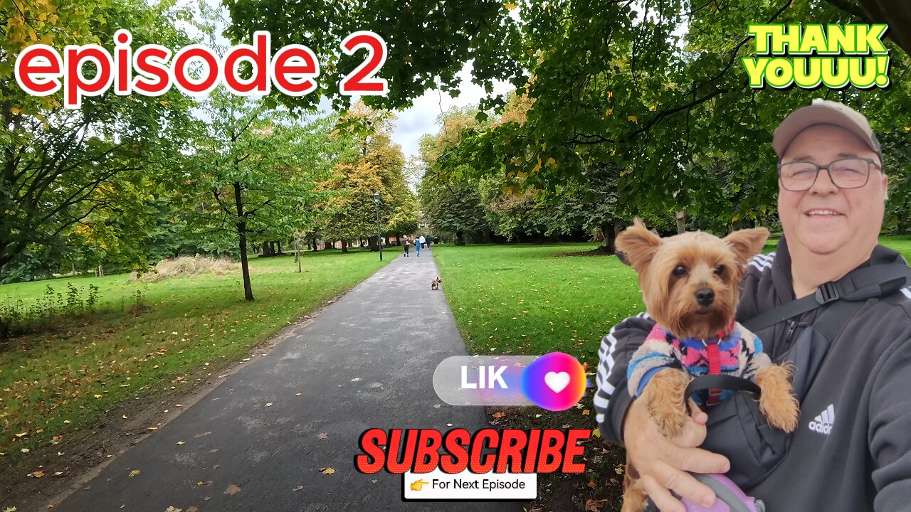 walk around with Yorkie Lucy Hyde Park