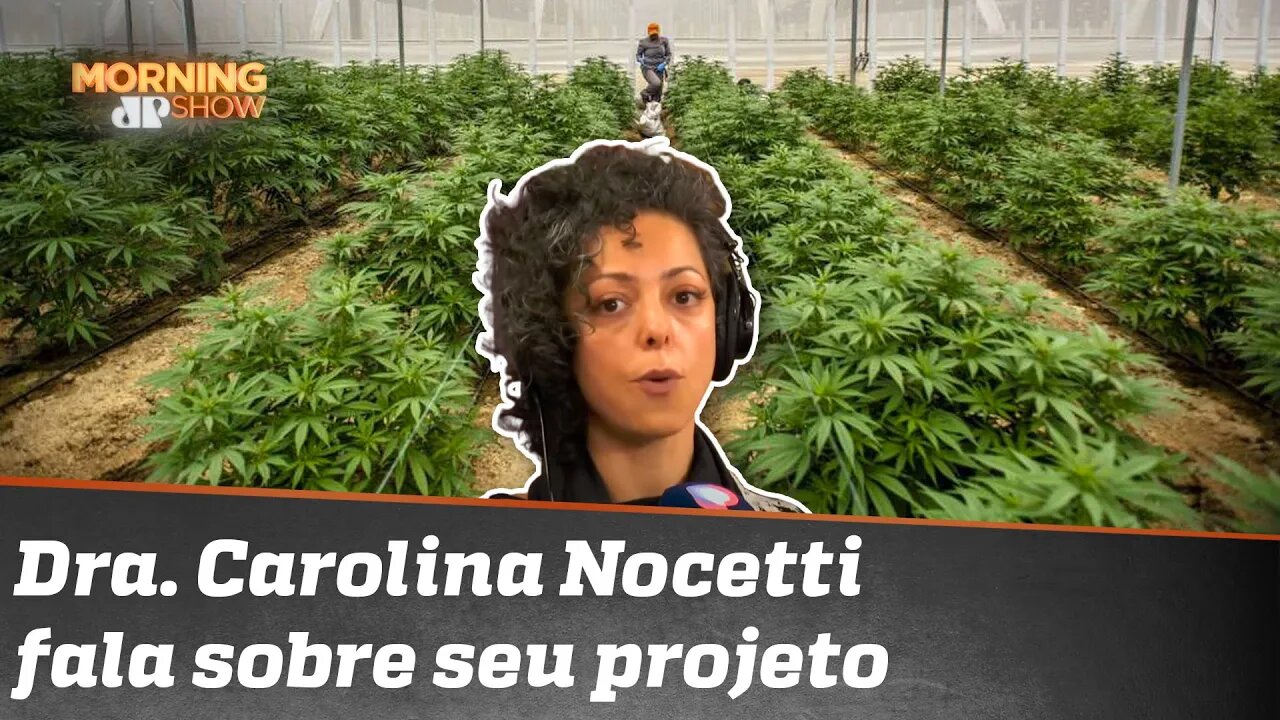 'É um grande impacto', diz médica sobre cultivo medicinal da cannabis
