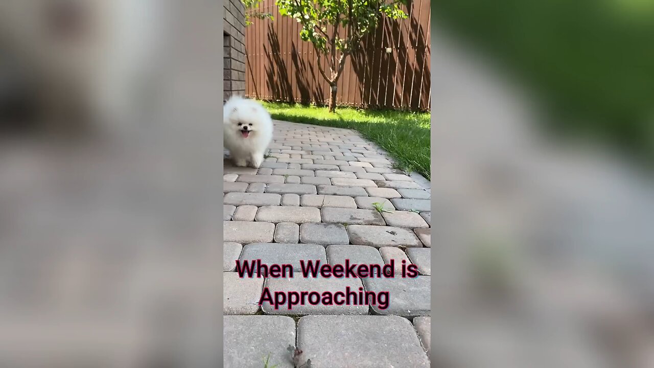 When Weekend is Approaching 😊😁