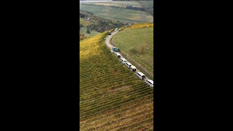 Vineyard germany drone footage