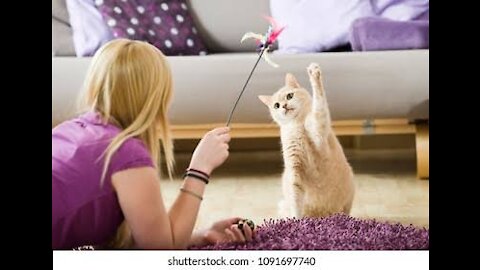 Cute and Funny Cat Videos to Keep You Smiling!😻 Don't try to hold back Laughter 😹2021-2022 Part 1u