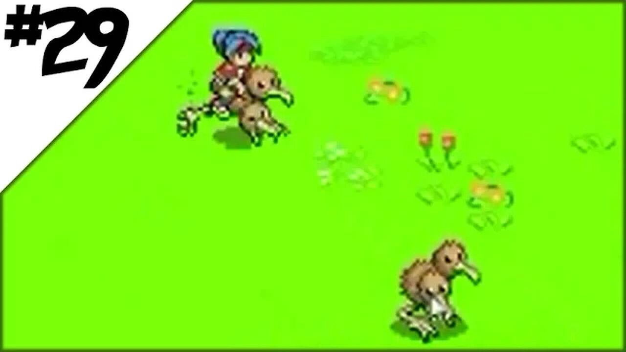 Pokemon Ranger Walkthrough Part 29: Doduo Heads