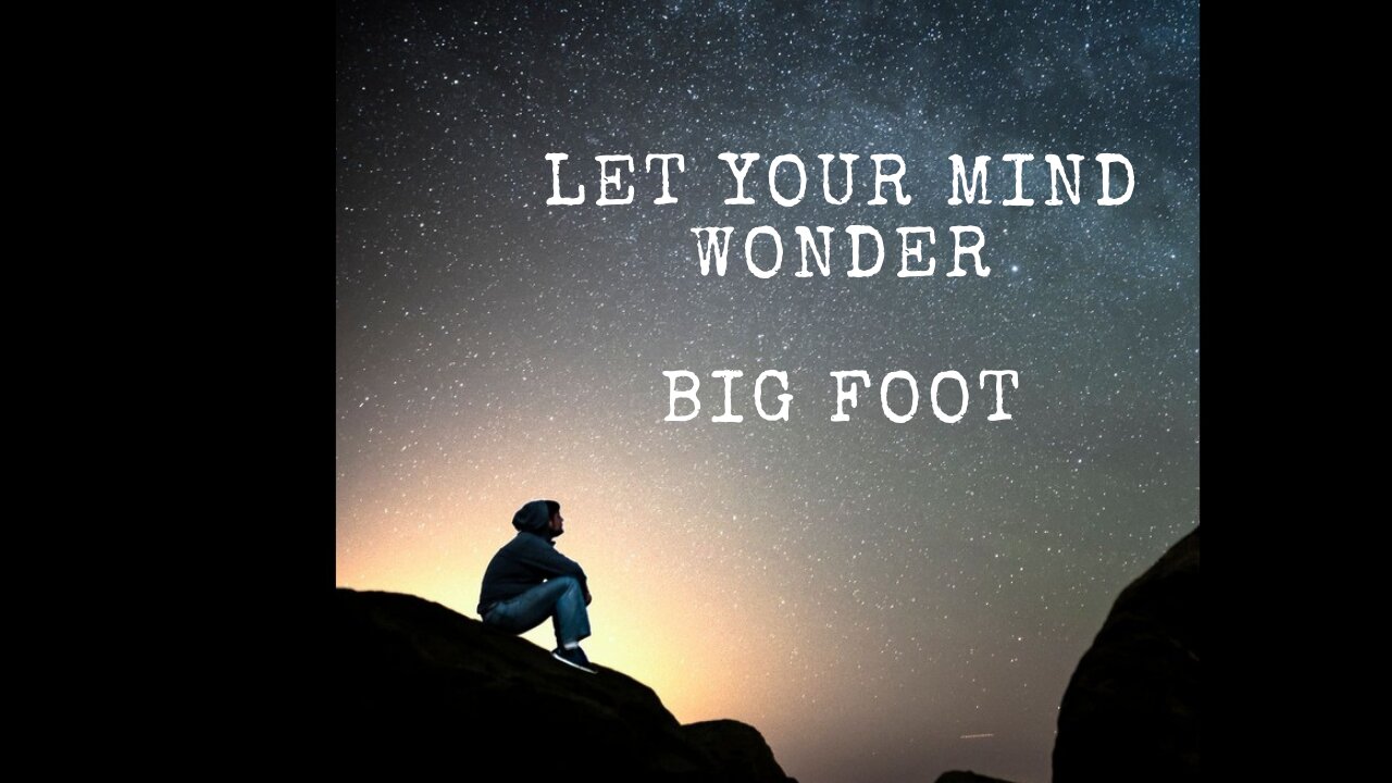 Let Your Mind Wonder #10