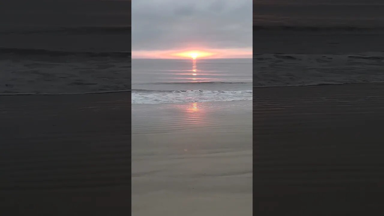 Jekyll Island's Morning Eye! #shorts