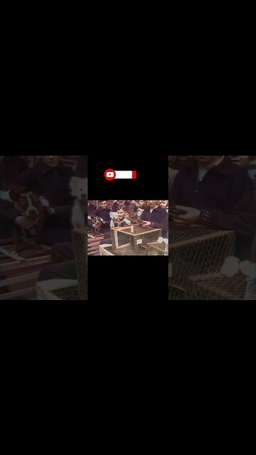 Children in 1934 Hold a Pet Show [Restored Footage]