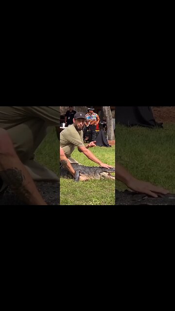 Humanos no limite da ESTUPIDEZ 😂😂😅😅😅