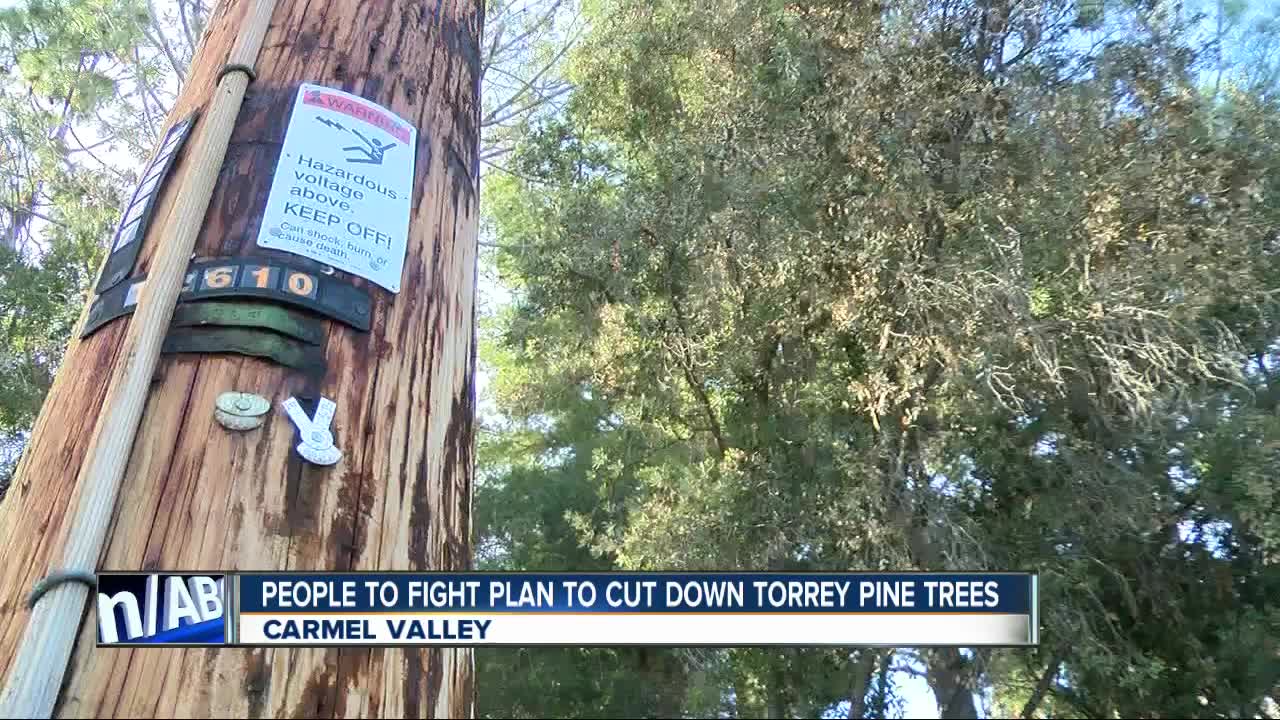 Carmel Valley residents to fight SDG&E plan to take down trees