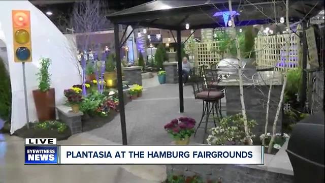 Hello spring! Plantasia returns to Hamburg Fairgrounds--6am