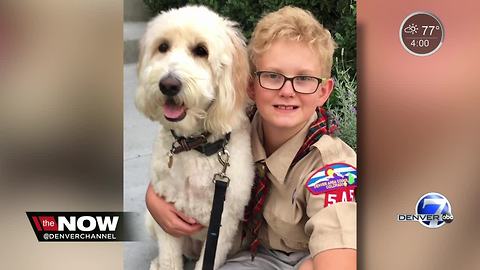 Cub Scout kicked out after asking Senator tough questions