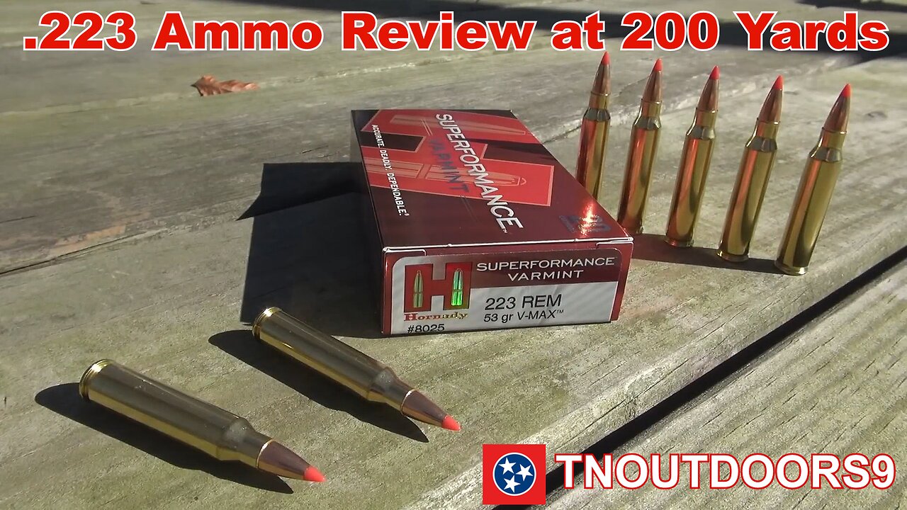 .223 Ammo Review at 200 Yards