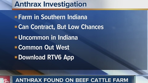 Anthrax found on beef cattle farm