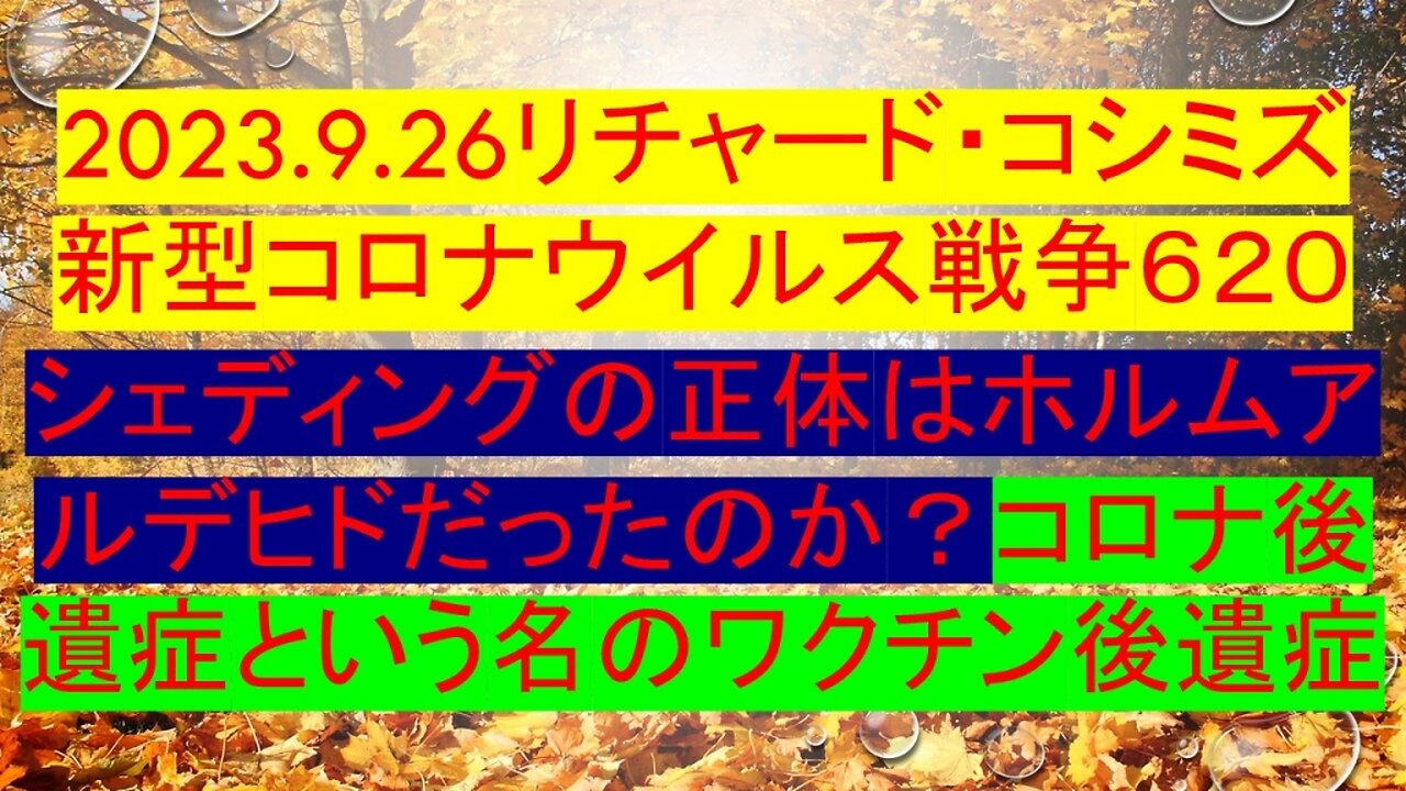 2023.09.26 リチャード・コシミズ新型コロナウイルス戦争６２０