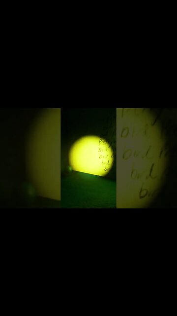 iM tHe BiGgEsT bIrD #gartenofbanban #short