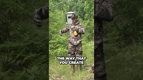 Creating a staging plot that you can hunt #shorts #deer #hunting #deerhunting #deermanagement