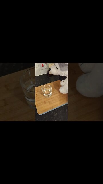 Imagine a Dog Finding out Colour!