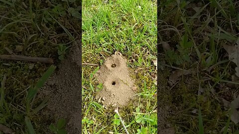 Not sure what these are