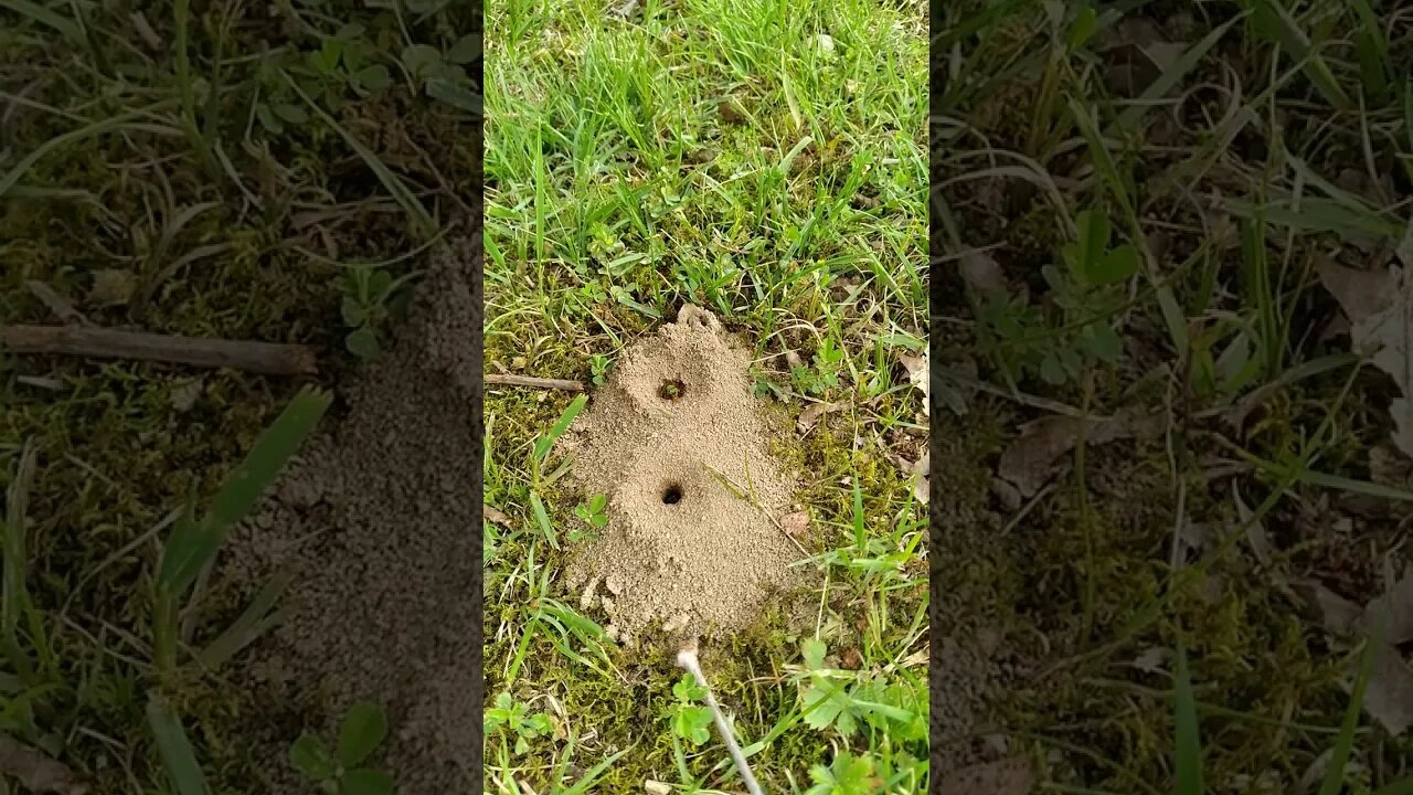 Not sure what these are