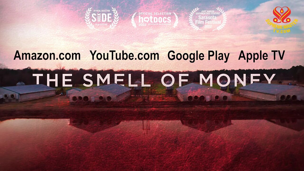 Documentary Trailer: The Smell of Money