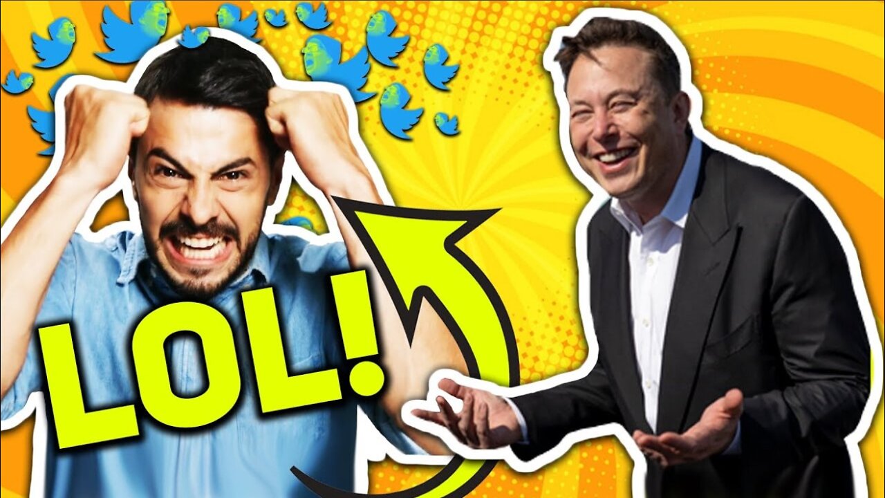 LOL MSNBC Host FREAKS Over Elon Musk Twitter Takeover