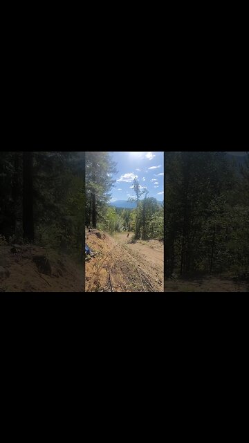 old man rides yz250f