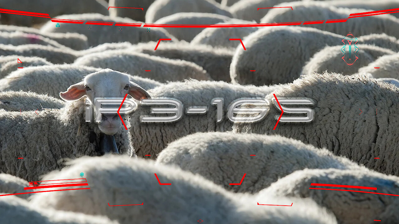 ＩＰ３－１６５ | ᴡᴇʟᴄᴏᴍᴇ ᴛᴏ ＳＨＥＥＰＥＮＩＮＧ！