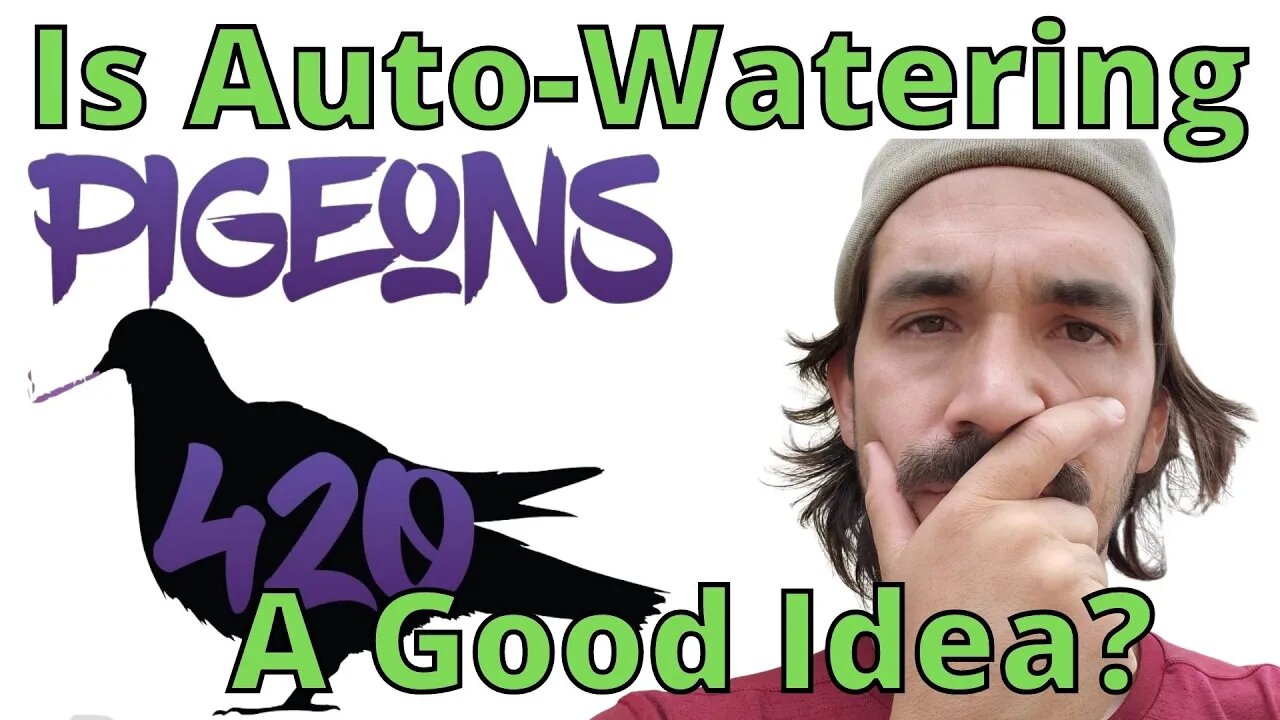 Is Auto-Watering A Good Idea?