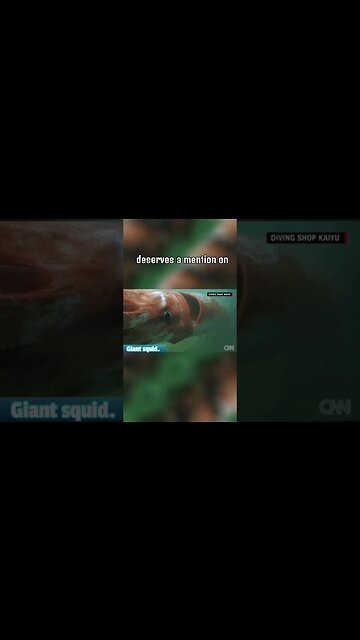 Giant Squid #shorts #shortsfeed #youtubeshorts #shortsvideo #facts #viral #didyouknow #shortsviral