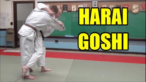 HARAI GOSHI Using Your Arms & Legs