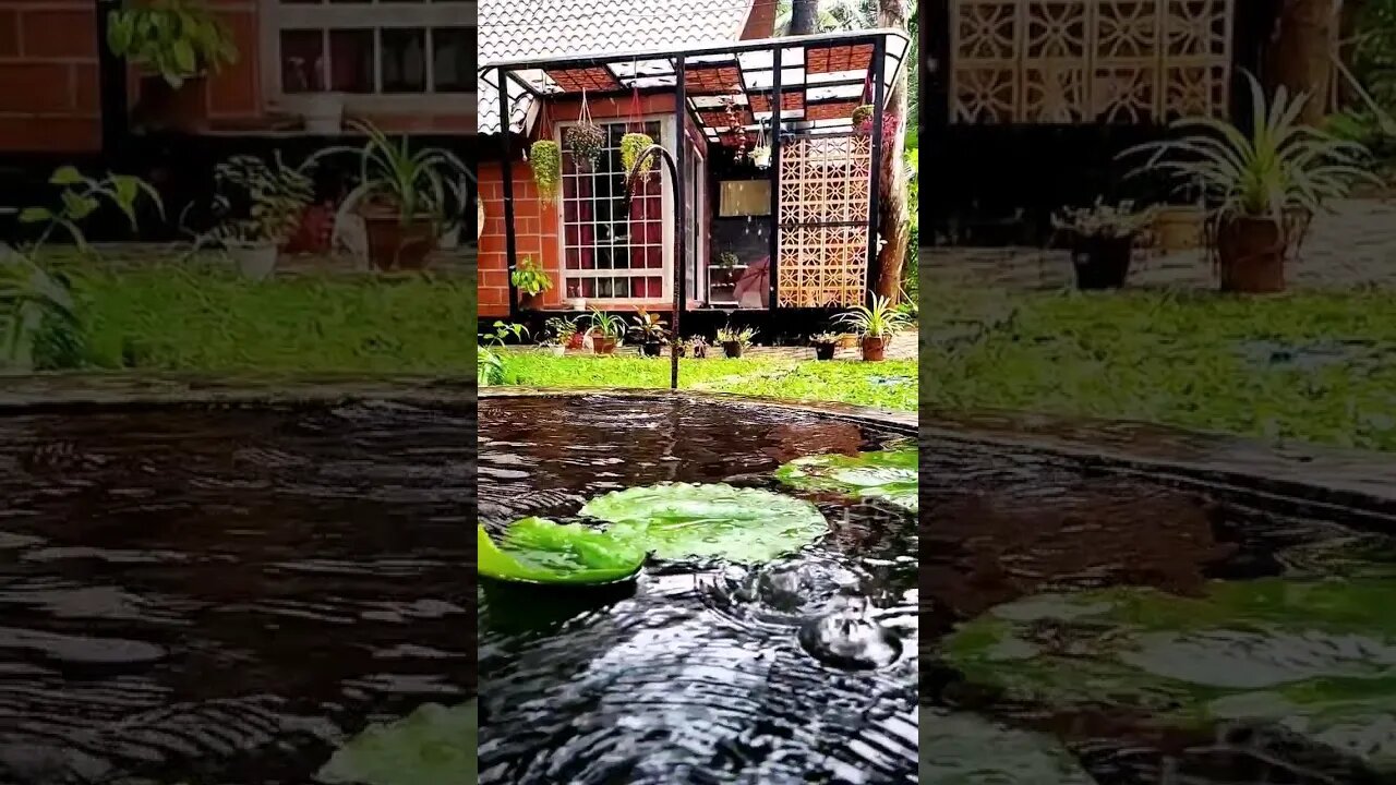 Rainy day at My Home😍😍 #home #myplace #peaceful #sweethome #house #myhouse #shorts #shortvideo