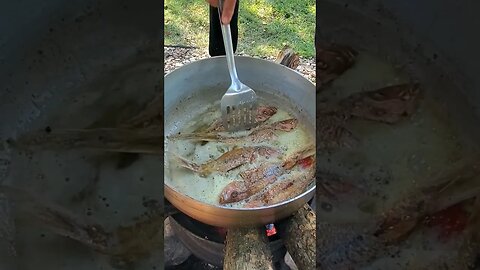How To Turn FRY FISH!! #jamaica #basketball #jamaicajamaica #reels #shorts