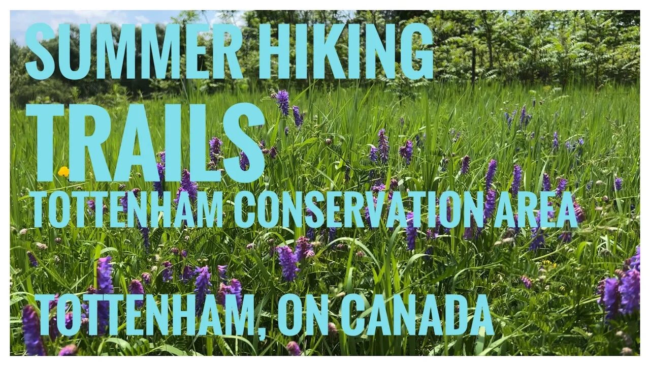 Trails | Summer Wildflowers | Tottenham Conservation Area | Tottenham, ON 🇨🇦 | Hiking Vlog