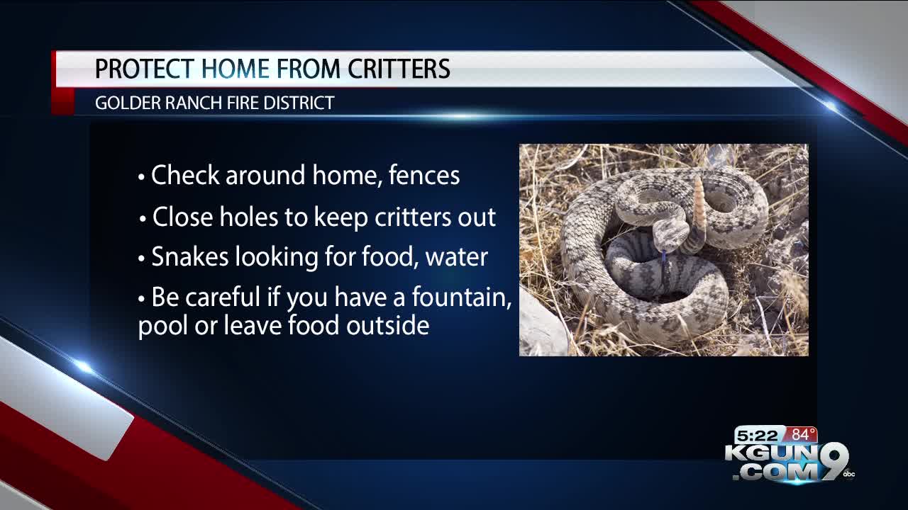 Keeping your home safe from critters