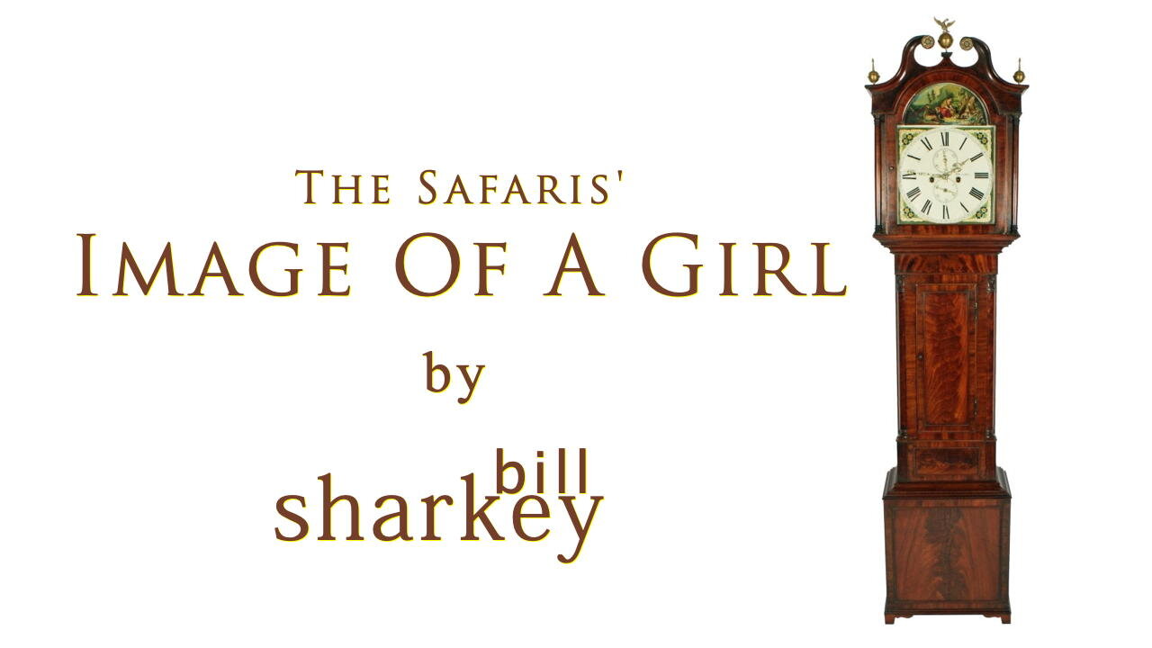 Image of a Girl - Safaris, The (cover-live by Bill Sharkey)