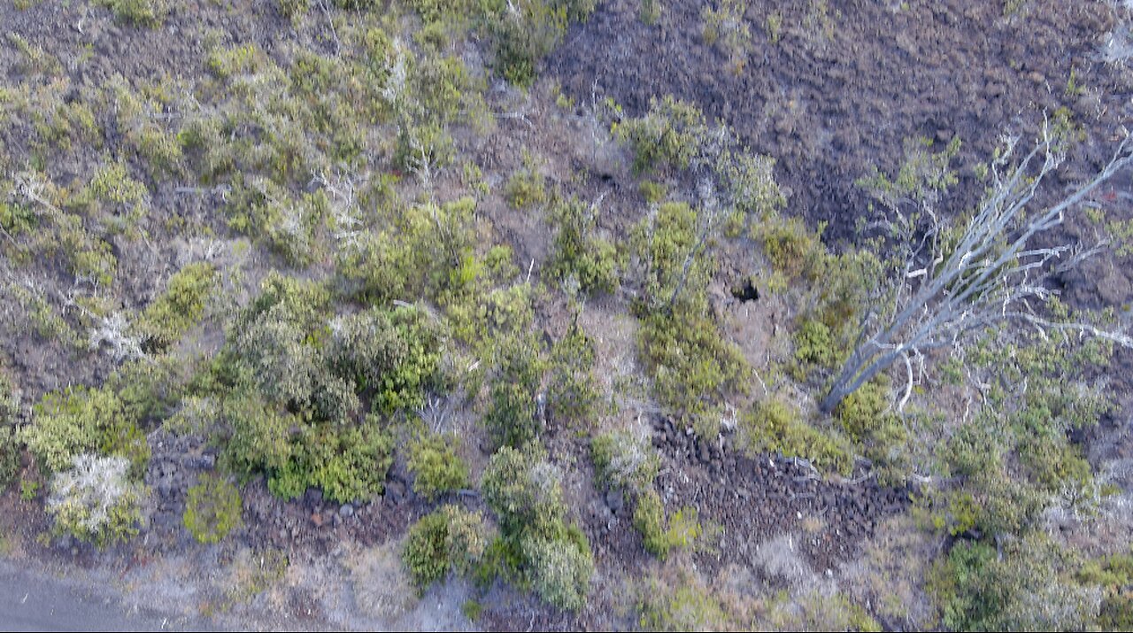 PLUMERIA LANE - AERIAL VIEW INSPECTION