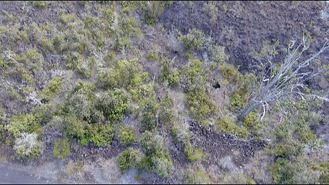 PLUMERIA LANE - AERIAL VIEW INSPECTION