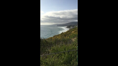 Lovely nature walk at the beach on a cloudy day