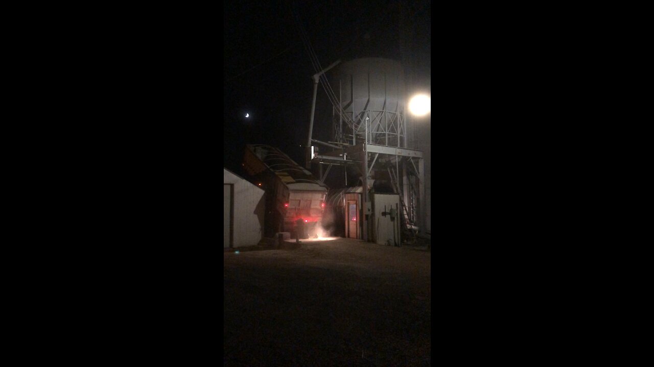 Dumping Corn 11-20-21