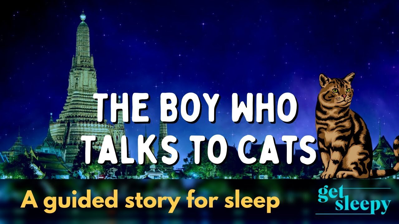 Bedtime Story for a Peaceful Sleep | The Boy Who Talks to Cats