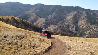 STUNNING Montana drone videos