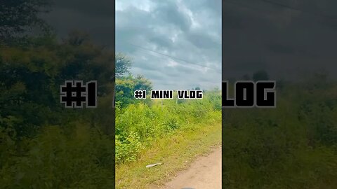 Mini Vlog 1 #travel#travelvlog#travellingvideos#minivlog