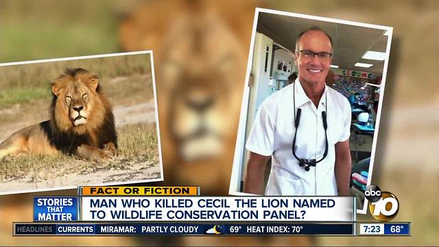 "Cecil the Lion" killer named to conservation panel?