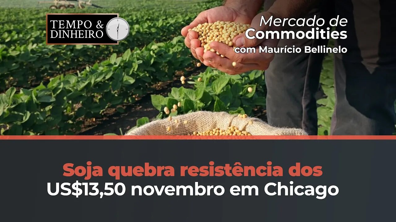 Soja quebra resistência dos US$13,50 novembro em Chicago - Com Maurício Bellinelo