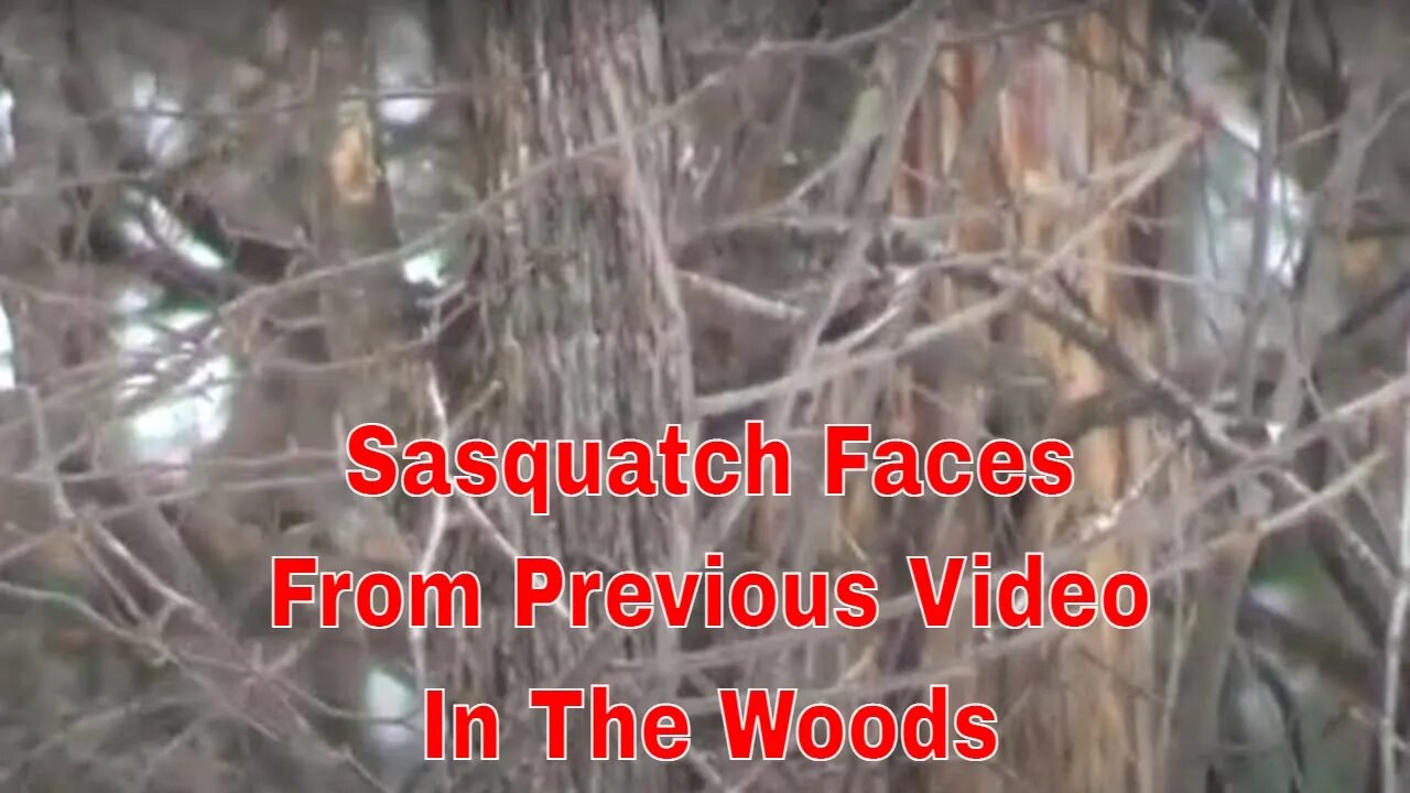 Sasquatch Faces From Previous Video In The Woods