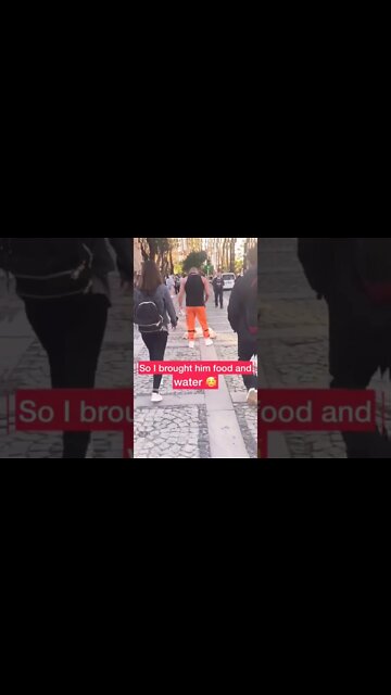 Save Dogs and Serve Them Food and Water or Milk