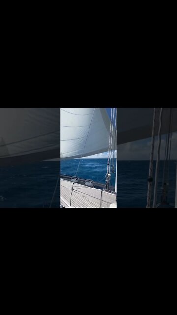 The feeling of freedom that comes with sailing! #shorts