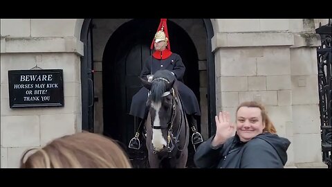 Posing with the kings guard horse speed up #horseguardsparade