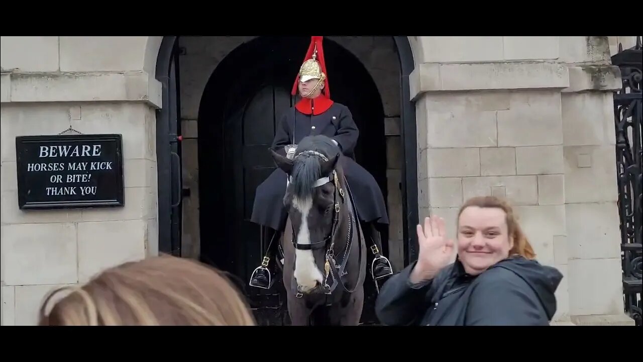 Posing with the kings guard horse speed up #horseguardsparade