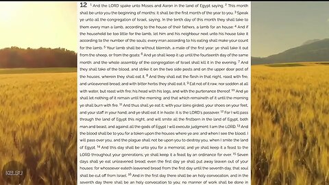 Coomer Landlord Narrates The 1611 King James Bible 24/7 - Audio TTS Authorized KJV Live